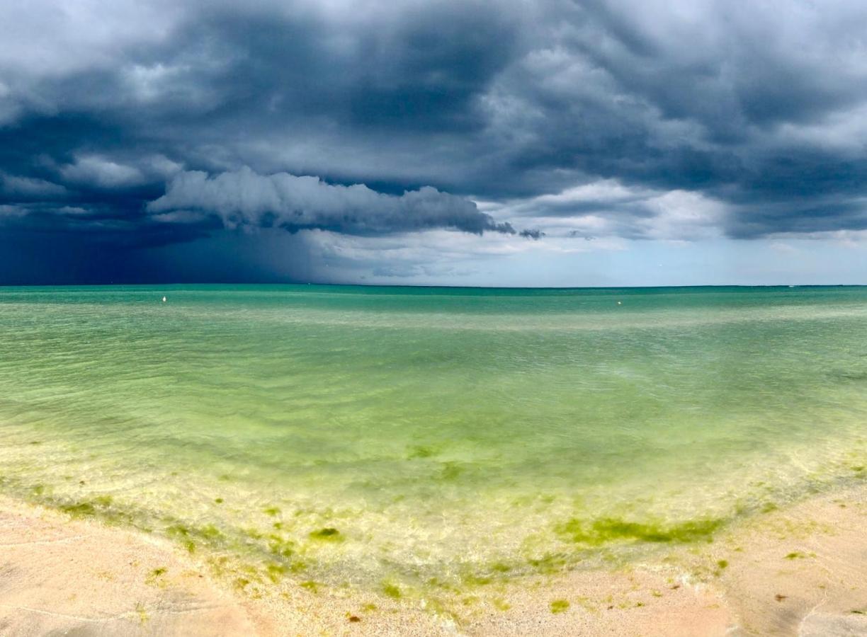 Riva Lake Boutique Mamaia Bagian luar foto